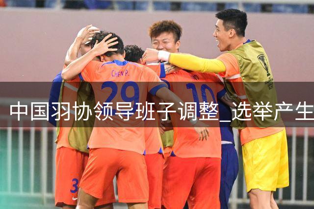 中国羽协领导班子调整 选举产生新任主席及副主席